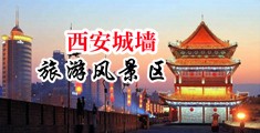 又粗又长的大鸡巴操骚逼免费视品中国陕西-西安城墙旅游风景区